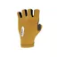 Q36.5 Pinstripe Summer Glove : CURRY